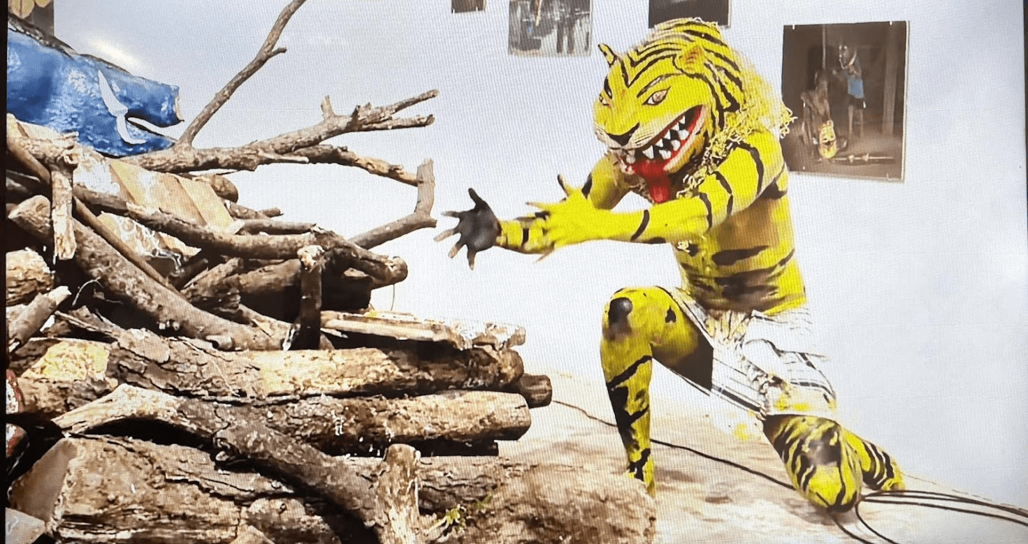 Gaurav Tumbada's Bohada installation exposes how industrial development in a coastal district north of Mumbai destroyed the Adivasi communities’ forests and livelihood. It features the guardian of the Adivasi communities’ forests, Waghoba (tiger), roaming a treeless village.