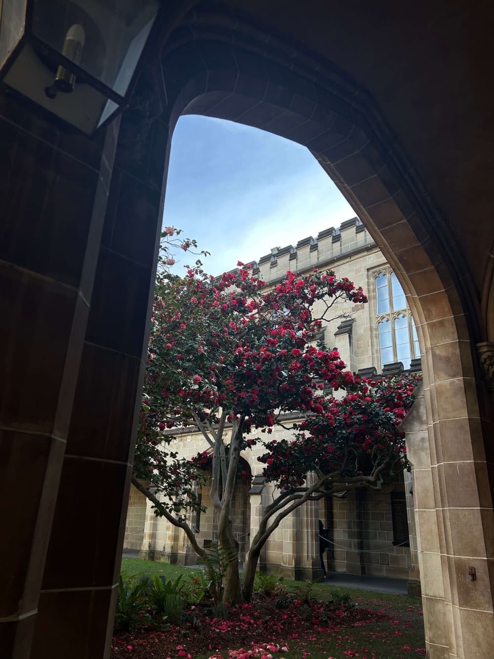 An insider’s view of the University of Melbourne