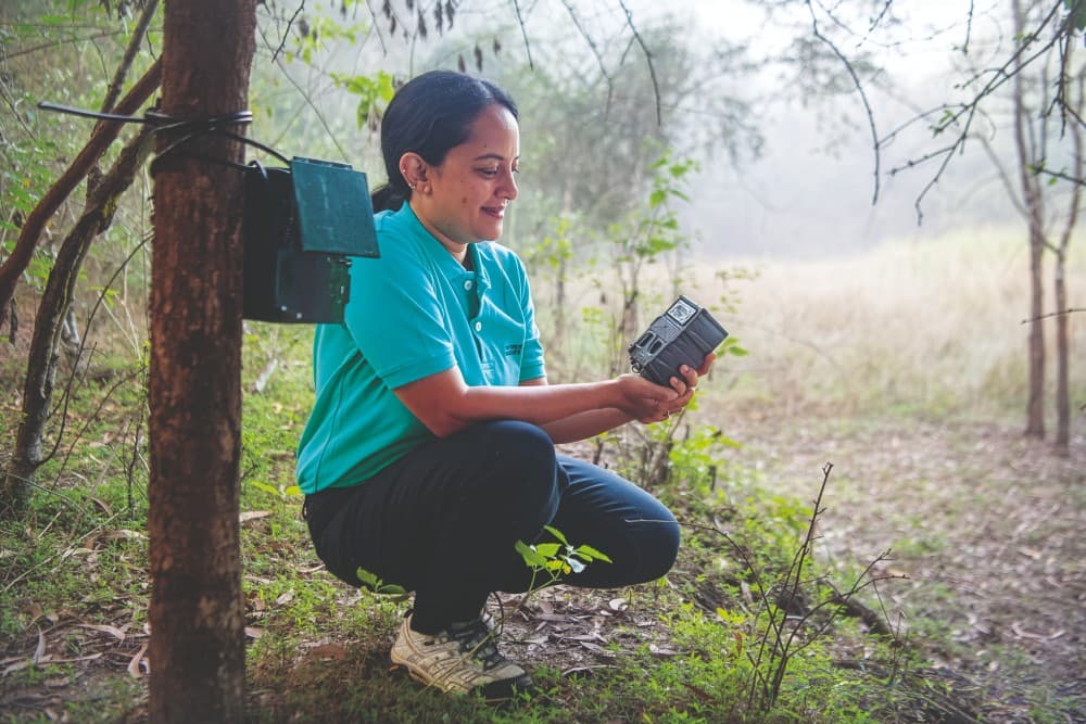 Karanth is the Chief Executive Officer at the Centre for Wildlife Studies, as well as an Adjunct Professor at Duke University.