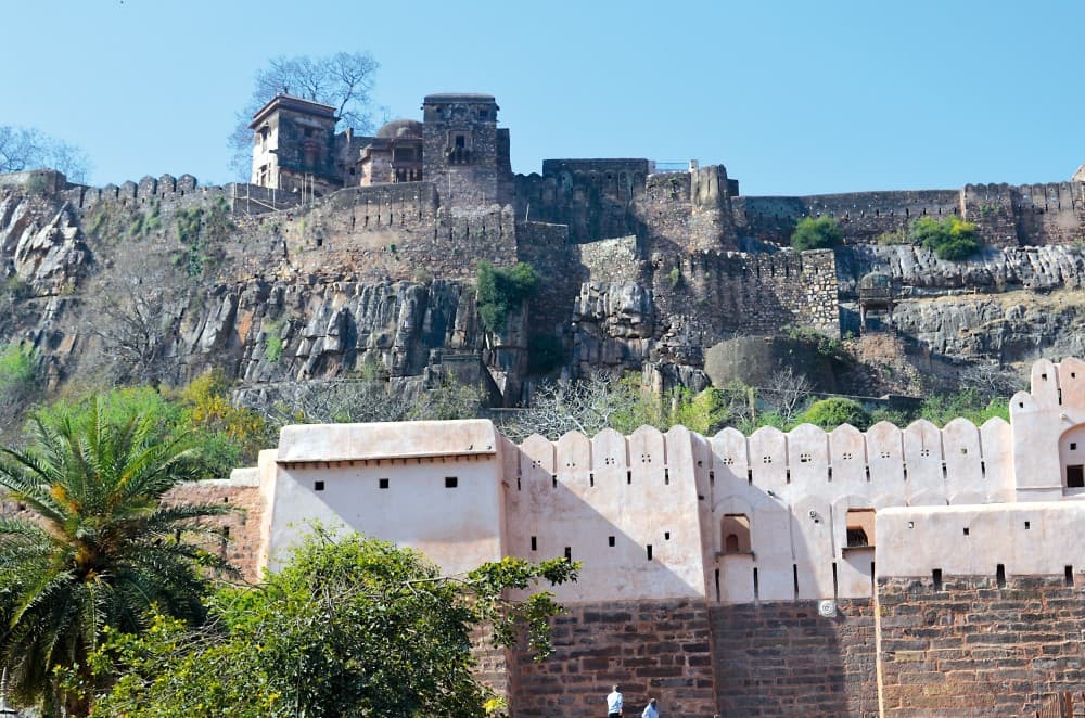 Humans and animals live in close proximity in reserve forests such as Ranthambore.