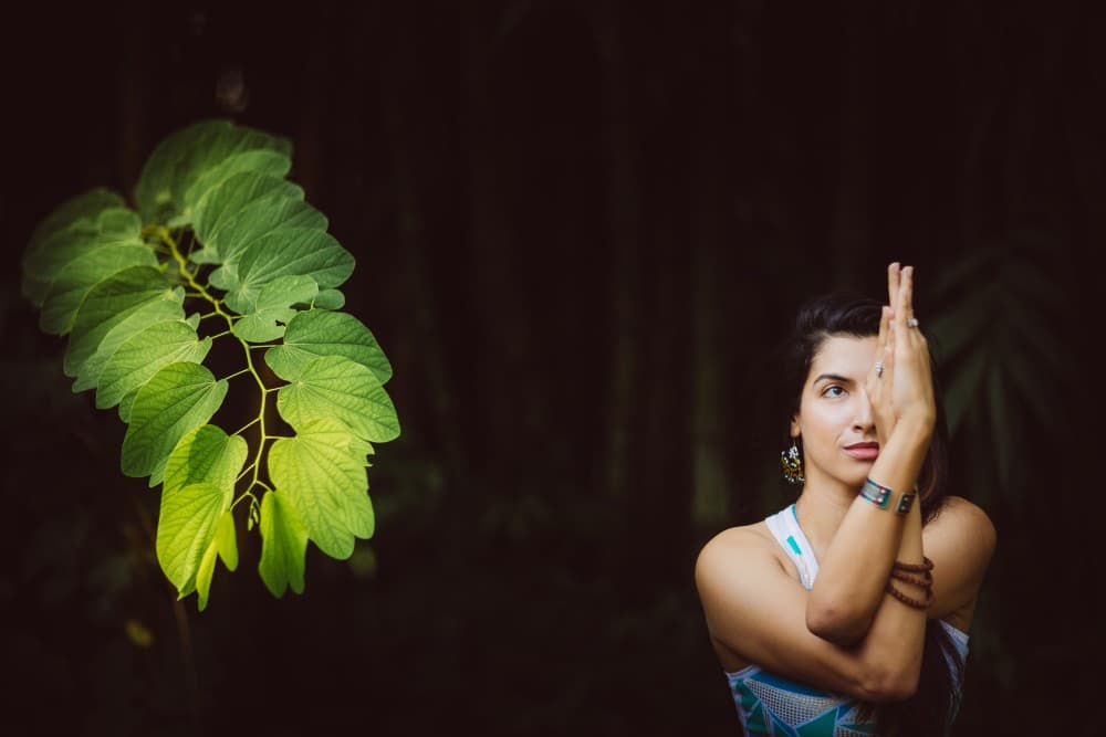Yoga is a two-dimensional landscape, and where a practice sits on that landscape determines almost everything about what it will do to you and for you