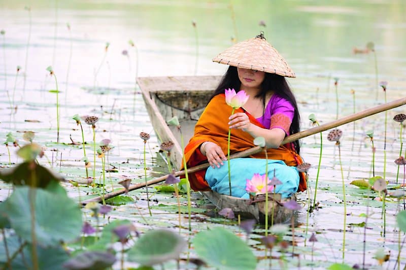 The Lotus Silk Route