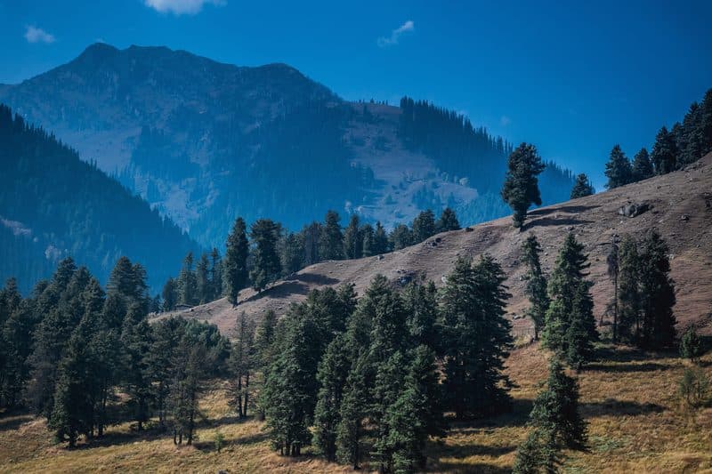The colours of Pahalgam in autumn