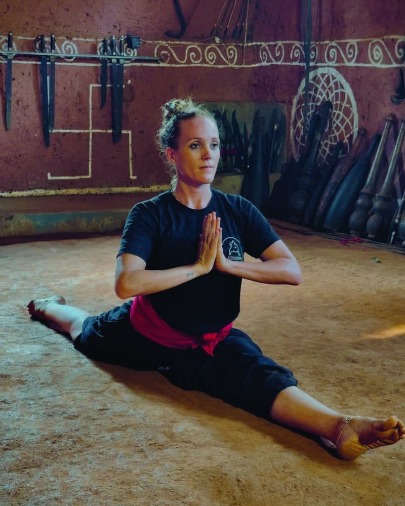 Students from different countries come to learn this unique combination of martial training, healing practices, philosophy and cultural depth.