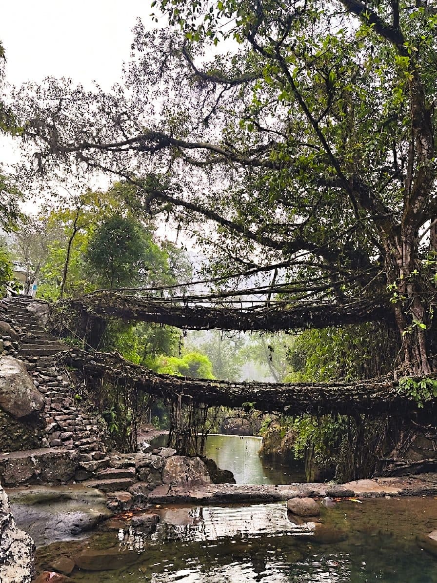 The stunning Double Decker Living Root Bridge in Nongriat can be reached after a trek down about 3,500 stone steps from Tyrna village, Cherrapunji