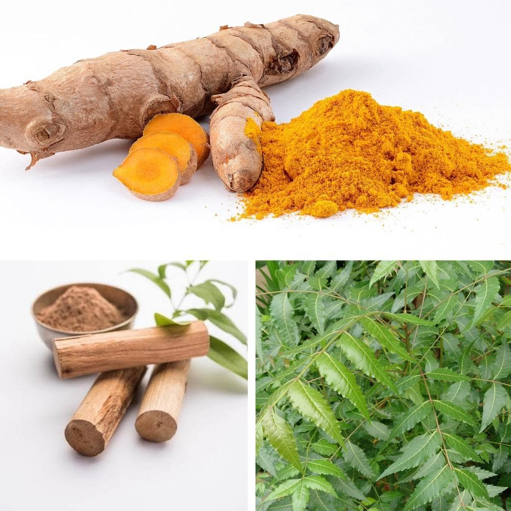 The good old neem, haldi and chandan trio are now hero ingredients in skincare across the world