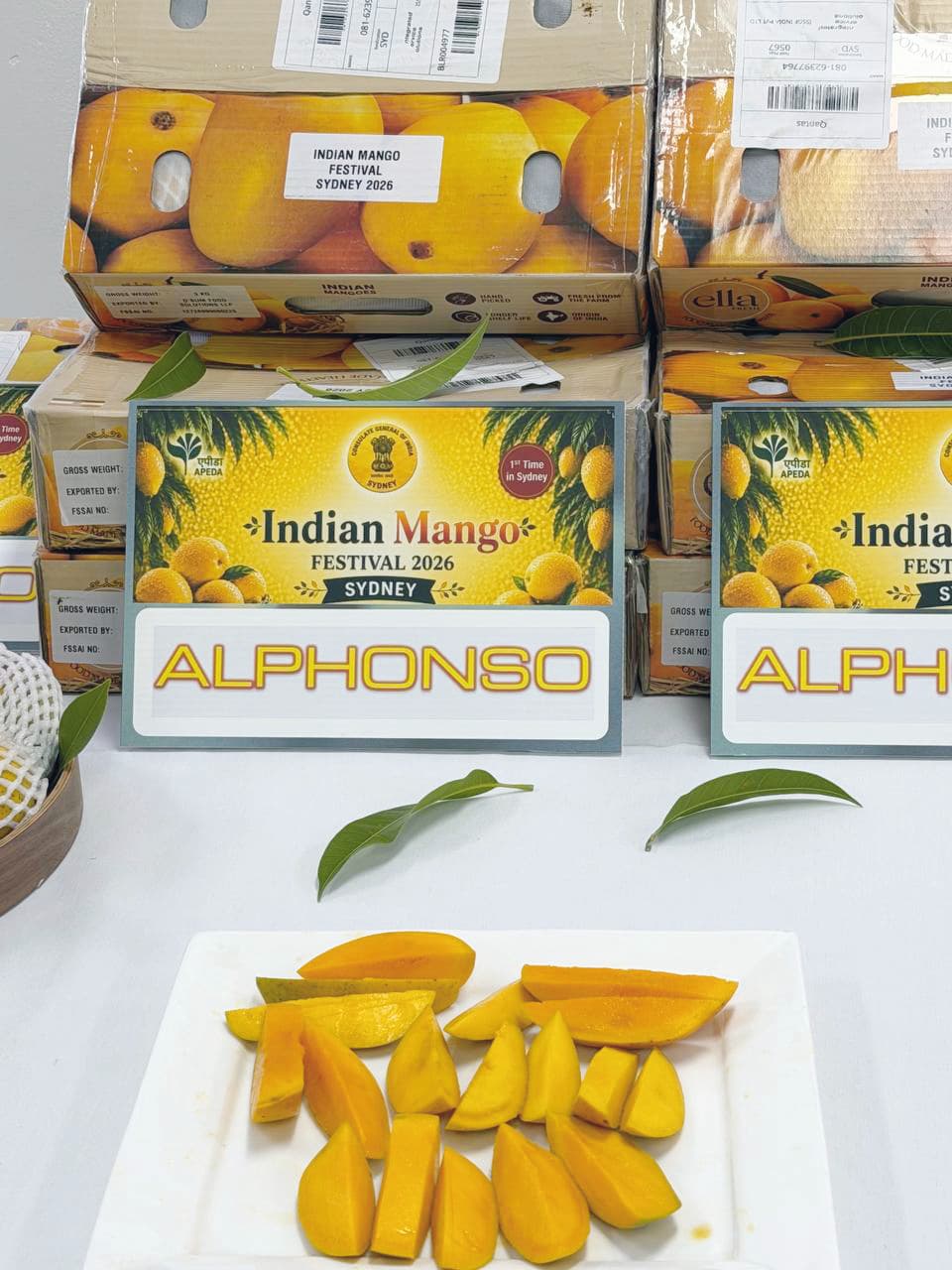 Of Mangoes and More